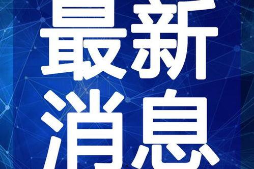 截拳道小李最新爆料视频,最新爆料视频背后的惊人真相 第1张 截拳道小李最新爆料视频,最新爆料视频背后的惊人真相 第1张